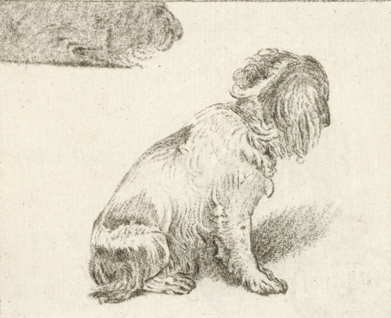 Sitting dog, print, printmaker: Cornelis Brouwer, after drawing by Frans van Mieris, publisher: Cornelis Ploos van Amstel, 1777, supervision, Amsterdam, paper, print drawing, crayon manner, transfer print, etching in crayon manner, height 71 mm x width 87 mm, dog, A sepia-toned pencil or charcoal sketch of a seated dog shown in profile facing right, with long, wavy fur and floppy ears, the head turned slightly upward, textured shading indicating fur on the body, legs, and tail, and a faint shaded area above the dog suggesting another sketched form.