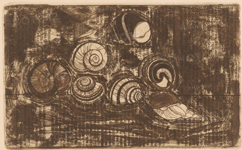 Seven shells, print, Text fragments in the background., printmaker: Reijer Stolk (signed by artist), Netherlands, 1942, paper, etching, intaglio printmaking technique, height 114 mm x width 185 mm, molluscs (shell, snail-shell etc.), A sepia-toned print filled with various spiral seashell shapes arranged across a textured background, each shell showing distinct curved ridges and banded patterns; some shells are tightly wound into spirals while others have broader whorls and visible inner chambers, and one elongated shell with flowing lines lies near the lower edge; the background is densely marked with crosshatching, smudges, and layered strokes that create a worn, mottled surface surrounding the shells.