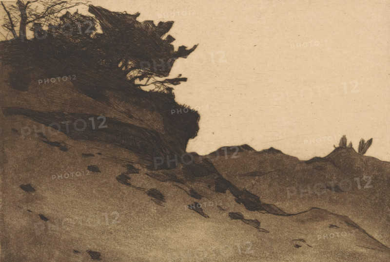 Shrubs on a sand drift, print, signature: 'Witsen', printmaker: Willem Witsen (signed by artist), c. 1891, paper, etching, aquatint, intaglio printmaking technique, height 139 mm x width 199 mm, dunes (sea not visible), in the dunes, shrubs, A textured landscape rendered in muted brown and beige tones shows a dark, jagged cliff on the left with densely crosshatched foliage and bare branches at its top, sloping down into a rough, undulating foreground of ground marked by scattered, irregular dark patches and sketchy strokes, while a pale, empty sky fills the upper right and a small rocky rise with a few thin, upright plant forms appears near the right edge.