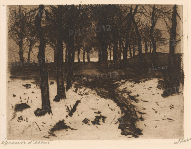 Landscape with trees in Ewijkshoeve, print, signature: 'Witsen', printmaker: Willem Witsen (signed by artist), Ewijkshoeve (Den Dolder), c. 1886, 1908, Den Dolder, paper, chine collé, etching, aquatint, intaglio printmaking technique, plate tone and aquatint, proof print, height 119 mm x width 160 mm, landscapes in the temperate zone, trees, A monochrome etching shows a wooded scene with dark tree trunks rising from a lighter ground, dense overlapping branches forming a shadowed canopy, a narrow winding path or stream cutting through the foreground toward a lighter area between the trees in the distance, scattered rough patches and marks on the ground, and vertical trunks and slender saplings extending across the composition with textured hatch marks creating contrast.