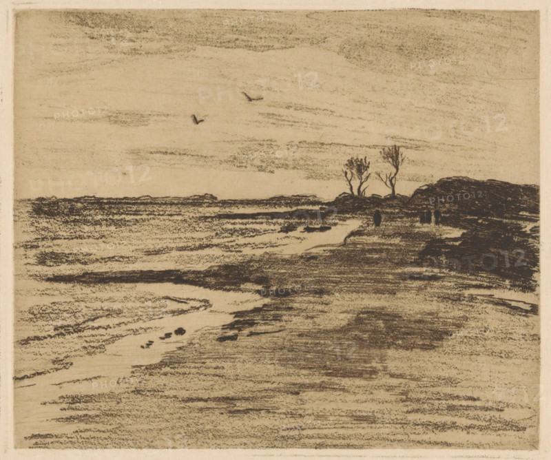 Coastline of the Zuiderzee in Valkeveen, print, Four figures on the right in the distance., printmaker: Willem Witsen, Amsterdam, c. 1913, paper, etching, soft-ground etching, intaglio printmaking technique, height 150 mm x width 178 mm, coast, walking, hiking (recreation), Zuiderzee, Valkeveen, A horizontal landscape rendered in muted sepia tones with textured, sketch-like shading across the sky and ground, a darker shaded shoreline curving from the right with two tall, leafless trees standing on a rocky outcrop, a few small dark vertical shapes near the rocks, and two small bird-like marks in the sky above layered, grainy bands suggesting water and land.