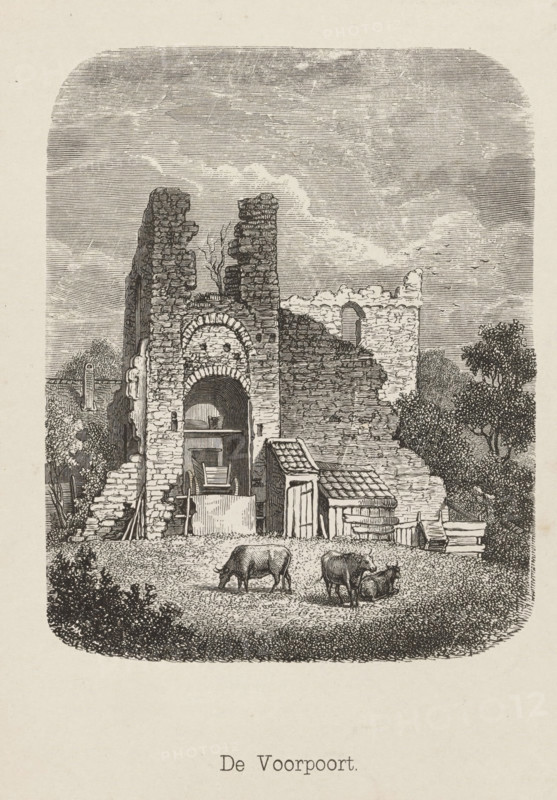 The Front Gate, Front Gate of the Ruins of Brederode Castle, print, book illustration, printmaker: Isaac Weissenbruch, Netherlands, after design by Johannes Henderikus Morriën, publisher: Gebroeders van Es, Amsterdam, 1861, paper, wood engraving, letterpress printing, wood engraving and text in letterpress, height 228 mm x width 187 mm, A detailed black and white engraving shows a ruined stone gateway with two crumbling vertical sections and an arched central opening; remnants of masonry and stacked stones flank the arch and a wooden wheelbarrow and crate sit inside the opening. Small outbuildings with tiled roofs and a low fence stand beside the ruin, and trees and shrubbery appear at the edges of the scene. In the foreground three grazing cows occupy a grassy area, one standing apart and two nearer each other with one appearing to lie down. The sky above is filled with dense horizontal line shading suggesting clouded texture.