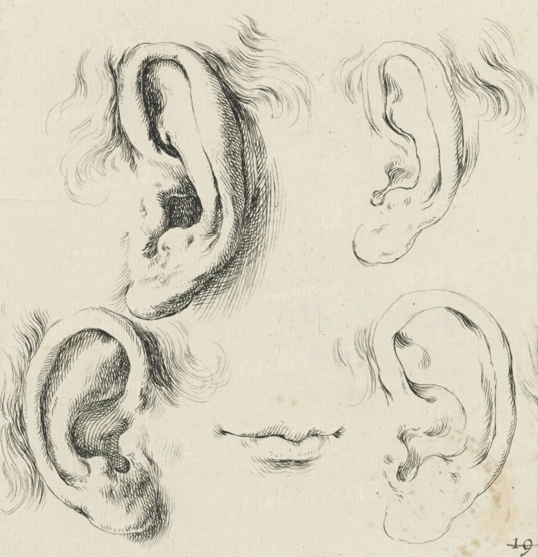 Four ears and a mouth, Collection of various pieces serving the art of portraiture, Drawing examples for portraits, print, Series number, 19, 38, printmaker: Stefano della Bella, France, publisher: François Langlois, Paris, grantor of privilege: French Crown, 1620 - 1647, paper, etching, height 112 mm x width 110 mm, A series of ink sketches on aged paper showing multiple detailed human ears and a pair of lips, each ear drawn with curved lines, shading, and fine hairlike strokes, arranged around the page with varied orientations and surrounded by wisps of hair and subtle textured marks.