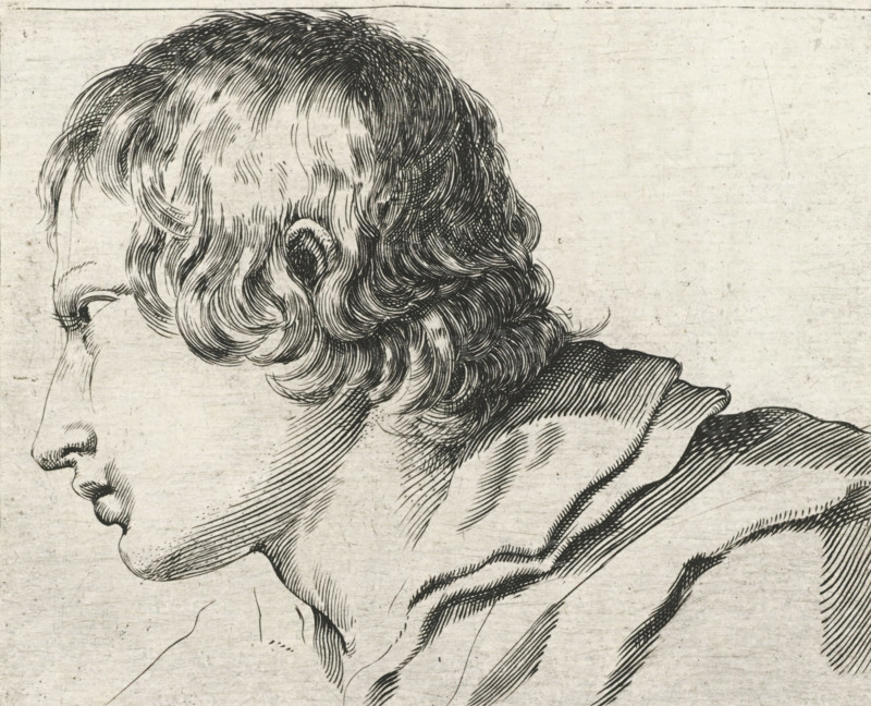 Head of a young man, turned to the left, Collection of various pieces serving the art of portraiture, Portrait drawing examples, print, printmaker: Stefano della Bella, France, publisher: François Langlois, Paris, grantor of privilege: French Crown, 1620 - 1647, paper, etching, height 107 mm x width 133 mm, A close-up black and white engraved profile of a person's head and upper shoulder showing wavy hair rendered with fine curved lines, a visible ear, a forehead, eye, nose, lips, chin, neck, and draped fabric over the shoulder, all depicted with hatched shading on a textured light background.