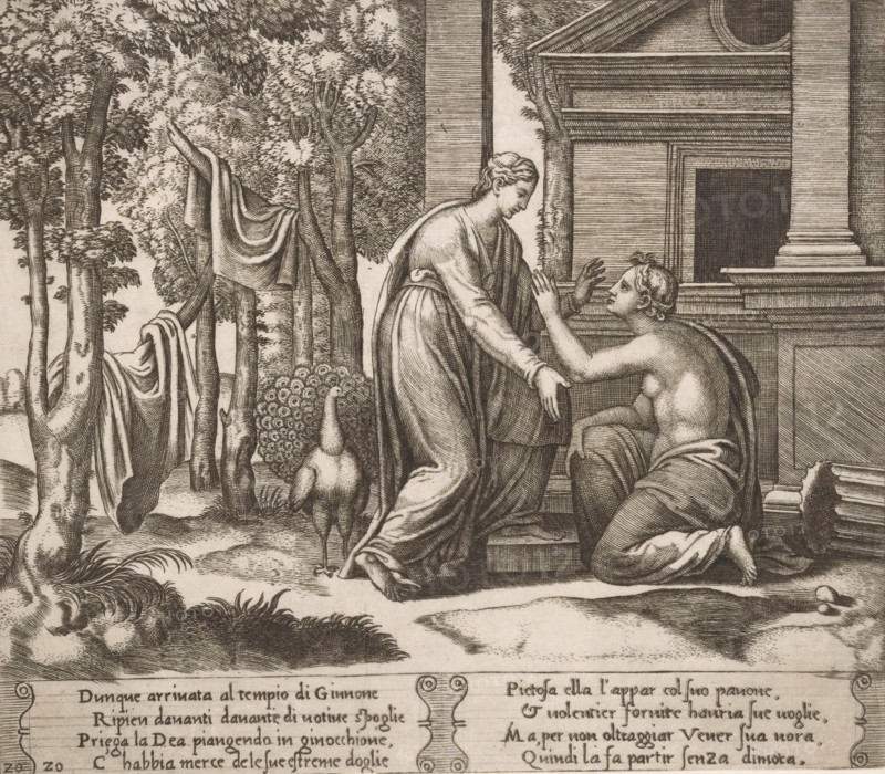 Juno refuses help to Psyche, Story of Amor and Psyche, print, Series number, 20, 32, On the right, the kneeling Psyche asking the goddess Juno for help. On the left stands Juno with the peacock beside her. Italian text in two cartouches in the lower margin. Numbered twice lower left: 20., printmaker: Master of the Dice, Italy, after design by Michiel Coxie (I), c. 1530 - c. 1560, paper, engraving, intaglio printmaking technique, engraving with plate tone, height 199 mm x width 229 mm, A landscape scene rendered in fine monochrome lines shows a standing robed figure reaching toward a kneeling partially draped figure beside a classical building with columns and stepped architecture; to the left a cluster of trees with draped fabric among the trunks and a peacock standing on the ground; foreground vegetation and textured ground fill the lower area while architectural details and the two interacting figures occupy the right side.