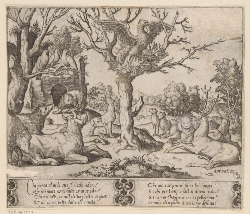 Phoenix, print, A self-immolating phoenix in a tree, surrounded by other animals including bears, dogs, and deer. Italian text in two columns in the bottom margin., printmaker: Master of the Dice, Italy, after design by Raphael (possibly), publisher: Antonio Salamanca, c. 1530 - c. 1560, paper, engraving, intaglio printmaking technique, engraving with plate tone, height 188 mm x width 222 mm, Top right corner torn off and filled in with paper, colored with pen in gray and brown., fabulous animals, A detailed monochrome etching shows a scene with many animals gathered beneath and around bare-branched trees, including a large bird perched in a nest on a central tree with wings partially spread, several birds perched on a branch to the left, and various mammals on the ground such as reclining and standing dogs, a lion near a stone structure with an arched opening, and deer with antlers among them; the landscape includes clustered trees and distant foliage, textured ground with grasses and...