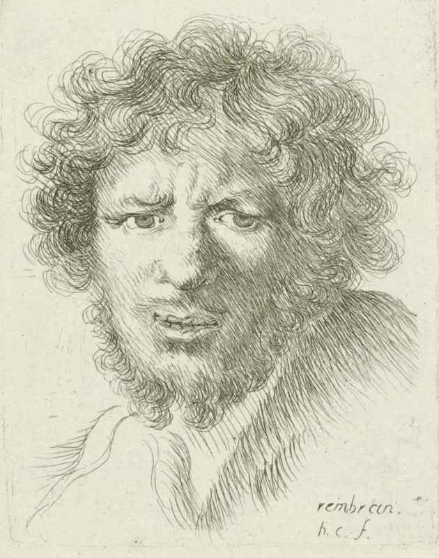 Bust of a young man with a beard, print, printmaker: Honoré Coussin, France, after design by Rembrandt van Rijn, 1708 - 1779, paper, etching, height 138 mm x width 108 mm, adult man, A detailed pen-and-ink drawing of a man's head and shoulders featuring dense, curly hair and a full beard rendered with many fine, swirling lines; the face is shown in three-quarter view with furrowed brows, prominent eyes, a pronounced nose, and slightly parted lips, and the drawing uses cross-hatching and varied line density to indicate shadow and texture on the hair, beard, and skin against a plain light background.