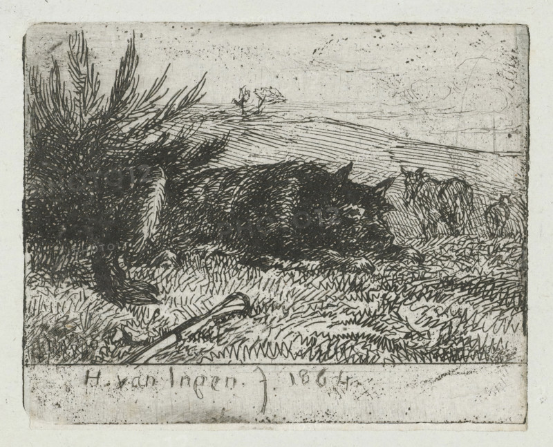 Lying shepherd dog, print, A lying shepherd dog next to a bush. In front of the dog lies a stick in the grass. In the background a hill., printmaker: Henry van Ingen, Poughkeepsie, 1864, North America, paper, chine collé, etching, etching on chine collé, height 56 mm x width 70 mm, dog, A rectangular etched scene framed by a thin border shows a dark, shaggy animal lying on grassy ground near dense, tall foliage on the left and smaller plants on the right, with textured strokes indicating fur and grass; a long, narrow object rests on the grass in front of the animal; the background contains horizontal etched lines suggesting a distant horizon and faint cloud-like shapes, and the lower margin beneath the scene shows a lighter panel with faint hand-drawn marks.