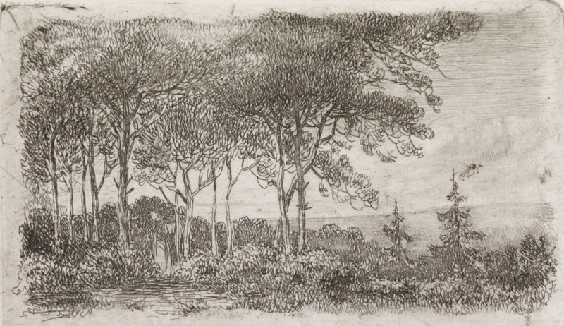 Woman by a row of trees, print, A wooded landscape with a woman with a basket on her back in the foreground on the left., printmaker: Jacob Jan van der Maaten, Netherlands, 1830 - 1879, paper, chine collé, etching, etching on chine collé, proof print, height 51 mm x width 86 mm, trees, forest, wood (landscape with figures, staffage), A monochrome drawing of a wooded landscape showing a cluster of tall trees with dense, textured canopies and slender trunks rising from a foreground of low shrubs and grasses, the foliage rendered with fine, repeated lines and short strokes; a few isolated coniferous trees with tiered branches stand to the right, and a faint horizontal expanse suggesting distant terrain or water lies behind the trees, with subtle linear shading in the sky above.