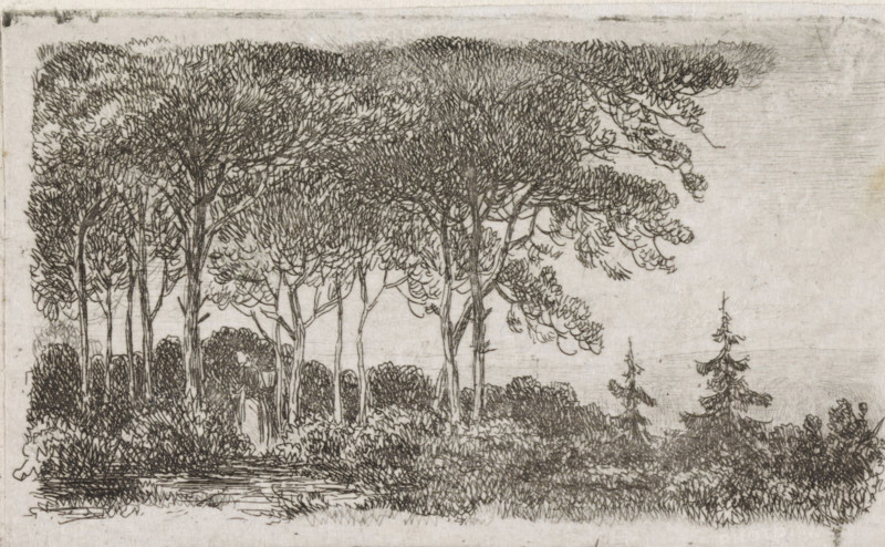 Woman by a row of trees, print, A wooded landscape with a woman with a basket on her back in the foreground on the left., printmaker: Jacob Jan van der Maaten, Netherlands, 1830 - 1879, paper, chine collé, etching, etching on chine collé, height 51 mm x width 86 mm, trees, forest, wood (landscape with figures, staffage), A horizontal pencil or ink drawing of a wooded landscape showing a dense group of tall trees with detailed canopies and slender trunks on the left and center, smaller coniferous trees on the right, and layered shrubbery and undergrowth beneath them; the foreground includes a textured grassy or marshy area with horizontal strokes suggesting water or ground, while the sky area above is left mostly empty with faint horizontal shading and narrow border lines along the top and sides.