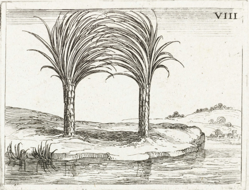 Two palm trees, Life of Mary in emblems, print, cognizance, Series number, 8, 26, Representation of two palm trees standing side by side along a waterfront, their crowns intertwined. This sheet is part of the emblem series 'Life of Mary in emblems'. The first state of this series comprises, in addition to a title page and 26 emblems, three sheets with hymns of praise to Mary in letterpress without illustration., printmaker: Jacques Callot, Nancy, publisher: François Langlois, Paris, 1625 - 1629, 1646, paper, etching, height 64 mm x width 84 mm, trees: palm-tree, Two tall, narrow trees with textured trunks stand on a gently sloping landmass, their long, arching fronds curving inward and overlapping to form a canopy; the ground around them shows layered lines suggesting terrain and a shoreline with reflected ripples in the water below, a clump of shorter grasses near the water, and distant rolling hills dotted with small clustered shapes that resemble vegetation and a small built structu...