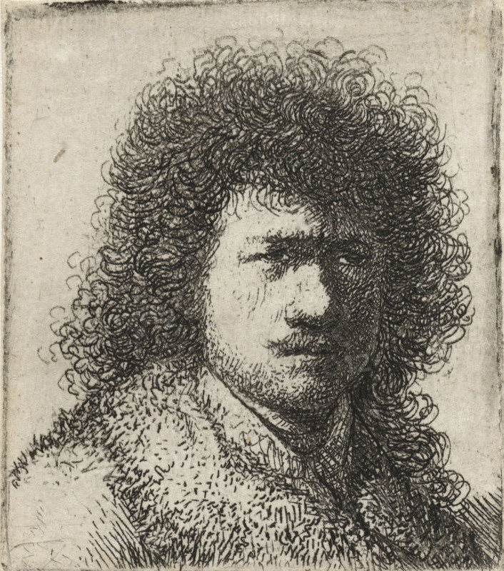 Self-portrait with bushy hair: bust, print, Self-portrait of Rembrandt with a large bush of curly hair., printmaker: Rembrandt van Rijn, Netherlands, printmaker: attributed to Jan Gillisz. van Vliet, c. 1631, Attributed to, paper, etching, height 50 mm x width 43 mm, The plate was reworked by another hand, possibly Jan Gillisz. van Vliet., Person, portrait, self-portrait of artist, A close-up monochrome etching of a person's head and shoulders showing tightly curled hair rendered with dense looping lines, a partially visible face with closed or downcast eyes, a prominent nose, faint stubble on the chin and jaw, and textured clothing that appears furry or woolly, all on a lightly mottled paper background with a narrow border.