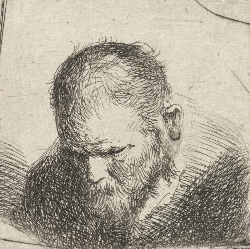 Man with a beard, print, looking down., printmaker: Jan Lievens (possibly), Netherlands, printmaker: manner of Rembrandt van Rijn, 1620 - 1700, Manner of, paper, etching, drypoint, etching and drypoint, height 46 mm x width 46 mm, morphology of human expression (downward), A close-up black ink sketch on textured paper showing the top and side of a bald man's head with thin hair strokes, an ear with detailed inner lines, a furrowed brow, closed eyes, and a beard rendered with dense cross-hatching and short curved lines.