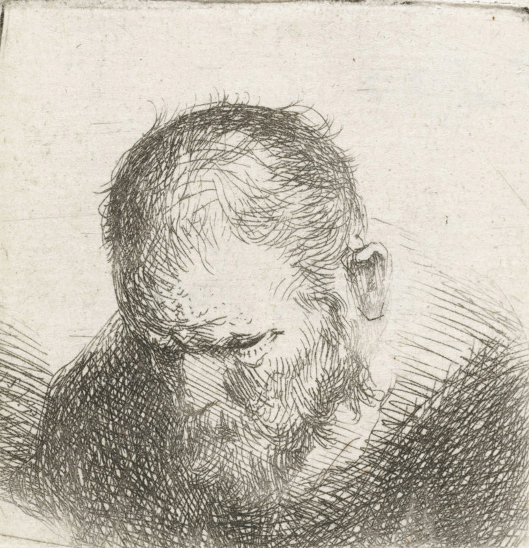 Man with a beard, print, looking down., printmaker: Jan Lievens (possibly), Netherlands, printmaker: manner of Rembrandt van Rijn, 1620 - 1700, Manner of, paper, etching, drypoint, etching and drypoint, height 45 mm x width 44 mm, morphology of human expression (downward), A close-up black and white sketch of the top of a head and upper face showing short, textured hair rendered with dense, overlapping fine lines, a forehead with subtle lined markings, a partially visible ear, and a beard and mustache depicted with crosshatched strokes, all on a textured, light-colored paper background.