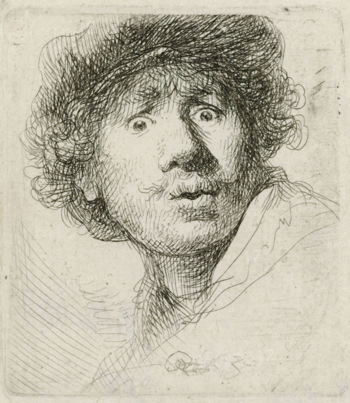Self-portrait in a Cap, Wide-eyed and Open-mouthed, print, monogram and date: 'RHL 1630', printmaker: Rembrandt van Rijn, 1630, paper, etching, height 50 mm x width 45 mm, Person, portrait, self-portrait of artist, A detailed pen-and-ink sketch of a wide-eyed face with curly hair and a startled expression fills the frame, showing dense cross-hatching and fine line work to model the forehead, hair, cheeks, nose, and neck; the eyes are round and prominently outlined, the mouth is slightly open with visible upper and lower lips, and the hair forms loose, springy curls around the head; shading lines vary in direction and density across the face and neck, and faint sketch lines and erased marks are visible on the surrounding paper.