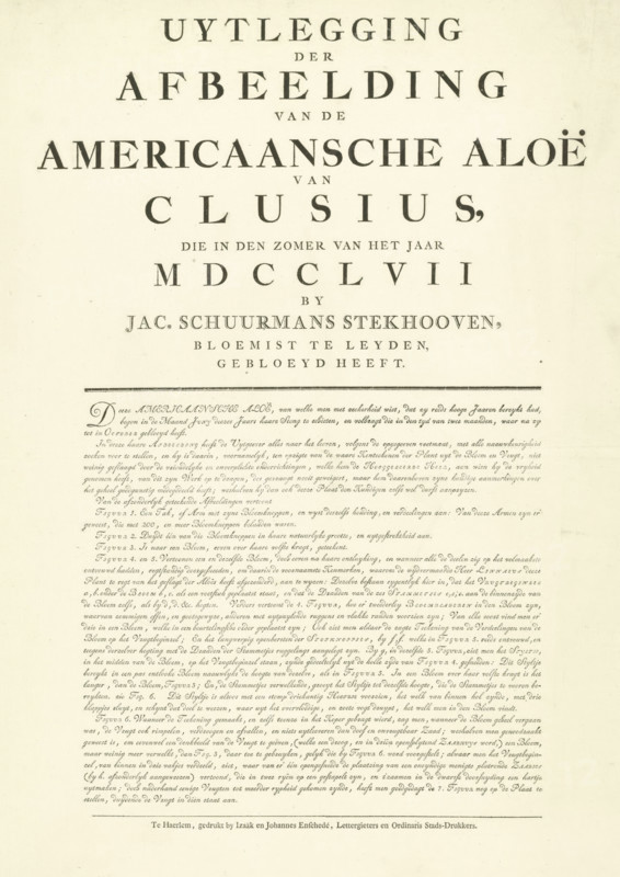 Explanation of the print of the flowering American Aloe, 1757, Explanation of the Illustration of the American Aloe by Clusius, which bloomed in the summer of the year MDCCLVII by Jac. Schuurmans Stekhooven, florist in Leyden, text sheet, Text sheet with an explanation of the plate of the American Aloe or Agave that bloomed in the summer of 1757 at the Leiden flower grower Jacobus Schuurmans Stekhoven., printer (person): Izaak Enschedé, Haarlem, printer (person): Johannes Enschedé (I), printer (person), paper, letterpress printing, text in letterpress, height 575 mm x width 470 mm, Period, A cream-colored page with black printed elements arranged in a centered, vertical layout, featuring large bold serif headings at the top and smaller dense lines of cursive-like printed text filling the lower half, separated by a thin horizontal rule; the paper shows a slightly aged texture and even margins around the printed content.