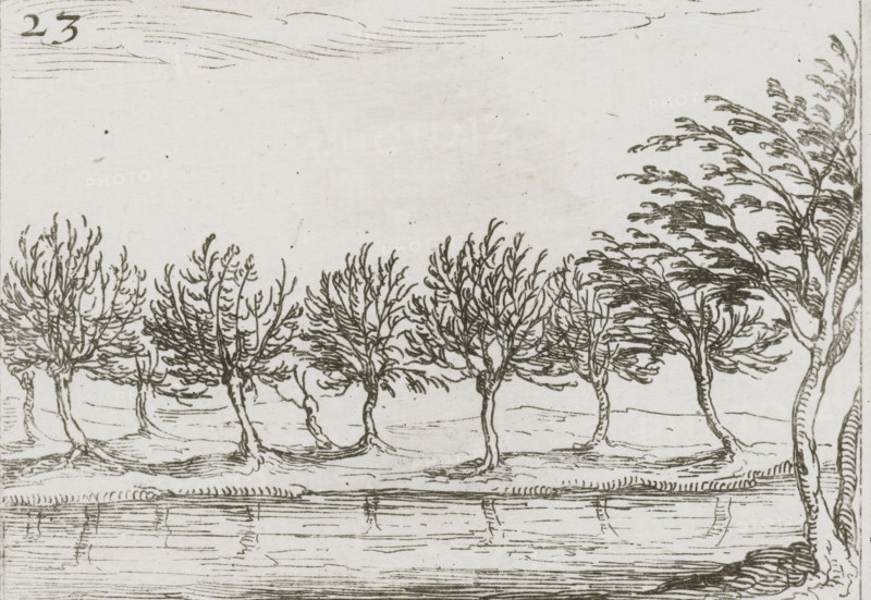 Tutior inter fletus, quam risus castimonia, Les pleurs mieux que les ris conferuent l'Ame pure, Willows along a bank, Monastic life in emblems, print, cognizance, Series number, 23, 27, Representation of a row of willows along a bank. Above and below this print are Latin and French texts in letterpress. This sheet is part of the emblem series 'Monastic life in emblems'. The second edition of this series contains, in addition to an illustrated title page and 26 emblems, a title page and a sheet with dedication, both in letterpress without image., printmaker: Jacques Callot, Nancy, after design by Jacques Callot, publisher: François Langlois, Paris, 1621 - 1635, 1646, Jacques Callot, François Langlois, printmaker, publisher, paper, etching, letterpress printing, etching and letterpress printing, height 60 mm x width 80 mm, height 144 mm x width 111 mm, trees: willow, A horizontal pen-and-ink drawing of a row of leafless trees with thin trunks and many fine, twisting branches standing alo...