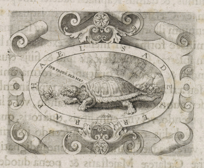 Turtle in a cartouche, print, book illustration, A cartouche with a turtle in a landscape and the motto: 'sub parvus sed meo'. This is the printer's mark of Raphaël Sadeler., printmaker: Raphaël Sadeler (I), printmaker: Raphaël Sadeler (II), grantor of privilege: Ferdinand II (German Emperor), 1619 - 1632, Raphaël Sadeler (I), Raphaël Sadeler (II), Ferdinand II (Holy Roman Emperor), grantor of privilege, paper, engraving, letterpress printing, engraving and book printing, height 59 mm x width 76 mm, tortoises, turtles, device (trade-mark of printer or publisher), An oval engraving centered in the image contains a detailed turtle facing left with a textured shell and visible limbs resting on a ground with small plants and rocks, surrounded by an ornamental border with scrollwork and floral motifs, and decorative curled ribbon-like elements framing the top and sides against a lined background.