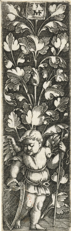 Flat decoration with leaf tendrils, print, ornamental print, At the bottom stands a putto with shield and staff. Hatched background., printmaker: Monogrammist MHF (16th century), Germany (possibly), publisher: anonymous, c. 1500 - 1536, paper, engraving, height 91 mm x width 27 mm, A narrow vertical black and white engraving shows a cherub-like child with wings standing among stylized leafy plants; the figure faces slightly downward with a rounded face and short curly hair, wearing a short tunic cinched at the waist and holding a long slender staff in one hand and a curved shield in the other; large ornate leaves and stems fill the background from top to bottom, rendered with dense crosshatching and white highlights creating a textured dark field behind the foliage; near the top a small rectangular panel contains a two-letter monogram, and the composition is framed by a thin light border.