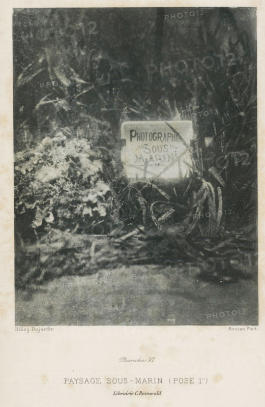 View of the Laboratoire Arago in Banyuls-sur-Mer, The laboratory ensemble with the embarcations visible in the vivier, page, photomechanical print, number: 'Fig. 18.', France, c. 1890 - in or before 1900, paper, autotypie, height 102 mm x width 143 mm, gulf, bay, façade (of house or building), Banyuls-sur-Mer, Laboratoire Arago, A grainy monochrome photograph showing a dark, textured background of foliage and branches with a lighter irregular mass of vegetation on the left and a rectangular board or sign propped among plants toward the center-right, partially obscured by grasses and stems, with a foreground of indistinct ground and scattered plant forms.