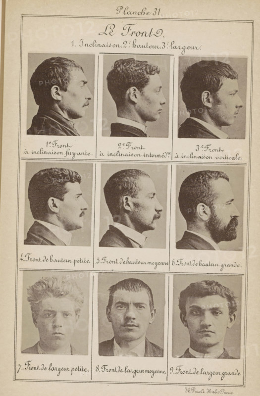 Le Front., Nine men's heads, arranged according to the shape of their foreheads, page, photomechanical print, The top six portraits in profile, the bottom three are front views., number: '1e, 9', number: 'Planche 31.', inscription: '1. Inclination 2nd. hauthor 3. largeur', inscription: 'Front à inclinaison fuyante, Front de largeur grande.', France, printer (person): H. Racle, Paris, c. 1880 - in or before 1893, H. Racle, printer (person), paper, collotype, photoprint, height 243 mm x width 157 mm, head (human) (sideview, profile), head (human) (front view), A sepia-toned page with a grid of photographic portraits showing three rows of three images each, the top two rows displaying side-profile views of men facing right, with varied hairstyles from short and curly to fuller beards and mustaches, wearing collared shirts and jackets, each portrait framed with thin borders and separated by ruled lines, and the bottom row showing three frontal head-and-shoulder portraits of young men with ...