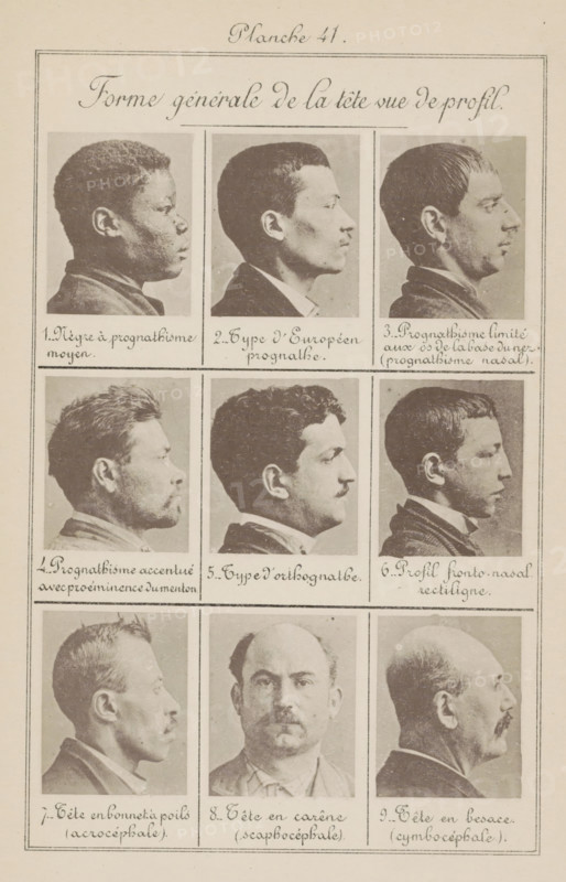 Forme générale de la tête vue de profil, Nine men's heads, arranged according to the shape of their heads, page, photomechanical print, Eight in side view, number 8 in front view., inscription: 'Négre à prognathisme moyen., Tête en besace (cymbocéphale).', number: 'Planche 41.', number: '1., 9.', France, c. 1880 - in or before 1893, paper, collotype, photoprint, height 243 mm x width 157 mm, head (human) (side view, profile), head (human) (front view), A vertical sheet showing a grid of photographic portrait panels with a decorative heading area at the top and framed borders around each panel; the panels contain sepia-toned profile and frontal portraits of adult male subjects with varied hairlines, facial hair, and head shapes, arranged in three rows with three images per row, each portrait framed by thin lines and separated by ruled horizontal and vertical dividers, and the sheet has an aged paper tone with visible grain and slight discoloration.