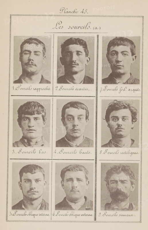 The eyebrows (a), Nine male heads in front view, arranged according to the shape of their eyebrows, page, photomechanical print, inscription: 'Approaching eyebrows., Sinus-curly eyebrows.', number: '1., 9.', number: 'Planche 45.', France, c. 1880 - in or before 1893, paper, collotype, photogravure, height 243 mm x width 157 mm, head (human) (front view), A printed sheet with a decorative title area and nine black-and-white photographic head-and-shoulders portraits of men arranged in a three-by-three grid, each portrait framed by thin lines and separated by horizontal and vertical rules, the men showing a variety of hair styles and facial hair ranging from clean-shaven to mustaches and a full beard, most facing forward with neutral expressions, the paper shows a light beige tone and faint aging, and there is cursive script beneath each portrait and a larger cursive heading near the top.