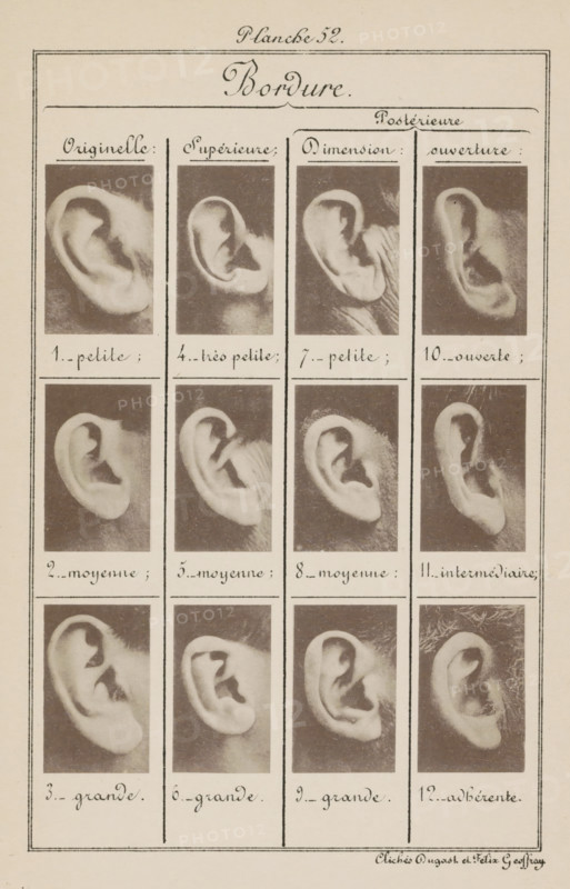 Twelve images of ears, arranged by shape, Bordure., page, photomechanical print, number: 'Planche 52.', inscription: 'Originelle : petite, moyenne, grande., ouverture : ouverte, intermédiaire, adhérente.', number: '1., 12.', photographer: Geoffray, Dugast & Felix, France, cliché maker: anonymous, c. 1880 - in or before 1893, paper, collotype, photoprint, height 243 mm x width 157 mm, ears, A rectangular page with a bordered header and a cursive title centered at the top, divided into four vertical columns by thin lines, each column containing three framed sepia photographs of human ears arranged in rows, with handwritten cursive captions beneath each photograph and ornamental horizontal and vertical rules separating the sections; the ears vary in shape and orientation and are shown against dark textured backgrounds, the page has a light aged paper tone and a thin outer border surrounding all content.