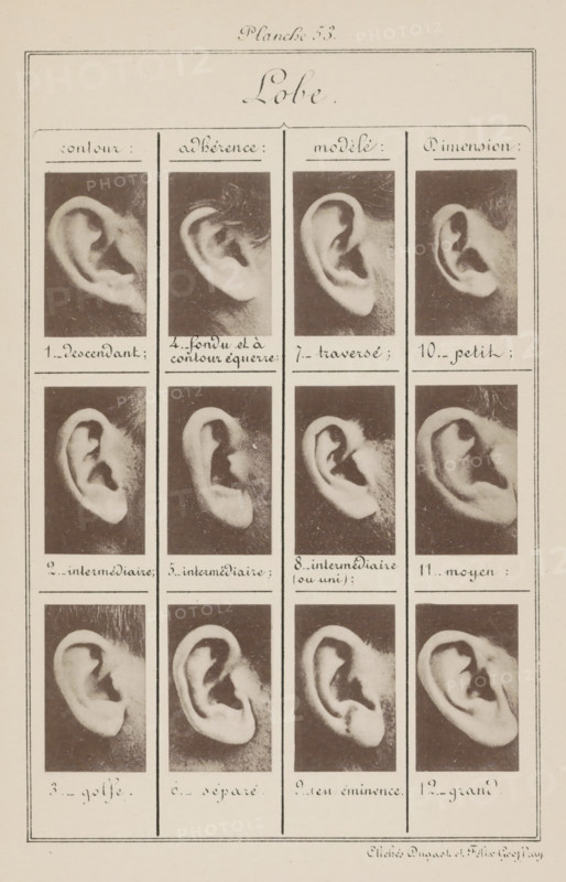 Lobe., Twelve images of ears, arranged by the shape of the earlobe, page, photomechanical print, inscription: 'contour : descendant, intermédiaire, golfe., Dimension : petit, moyen, grand.', number: '1., 12.', number: 'Planche 53.', photographer: Geoffray, Dugast & Felix, France, cliché maker: anonymous, c. 1880 - in or before 1893, paper, collotype, photoprint, height 243 mm x width 157 mm, ears, A tall rectangular sheet divided into vertical columns and horizontal rows, each cell containing a close-up black-and-white photograph of a human ear showing different shapes and orientations, with handwritten labels beneath each photograph; a decorative header with cursive script is at the top center, and thin ruled borders frame the entire sheet.