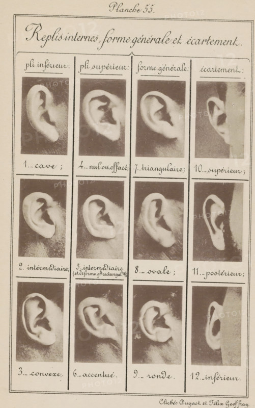 Replis interns, forme générale et écartement, Twelve images of ears, arranged by shape and width, page, photomechanical print, number: 'Planche 55.', number: '1., 12.', photographer: Geoffray, Dugast & Felix, France, cliché maker: anonymous, c. 1880 - in or before 1893, paper, collotype, photoprint, height 243 mm x width 157 mm, ears, A vertically oriented page divided into narrow columns and rows containing a grid of portrait-style sepia photographs of ears, each photograph framed with thin borders and separated by hand-drawn lines, with handwritten cursive headings and labels above and below the images; the ears are shown from side angles against dark backgrounds, displaying variations in shape and fold, with some images showing partial faces and hair, and there are decorative borders around the entire page.