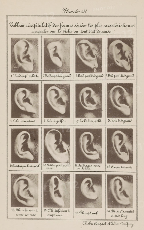 Sixteen images of ears, arranged by shape, Tableau récapitulatif des formes sériées les plus caractéristiques à signaler sur la fiche en tout état de cause, page, photomechanical print, number: 'Planche 56.', inscription: 'Bord supr plat., Pli supr. accentué et très long', number: '1., 16.', photographer: Geoffray, Dugast & Felix, France, cliché maker: anonymous, c. 1880 - in or before 1893, paper, collotype, photoprint, height 243 mm x width 157 mm, ears, A vertical sheet with a rectangular bordered layout containing a title area at the top and a grid of photographic close-ups of ears arranged in rows and columns, each ear image placed inside its own rectangular box with handwritten captions beneath; the ears vary in shape and orientation and the photos are monochrome with visible grain and soft shadows, separated by thin rules, and the page shows a pale background with slightly darker edges and faint paper texture.