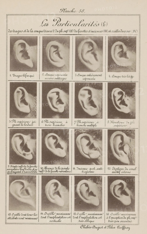 Sixteen images of ears, arranged by shape, Les particularités (b), page, photomechanical print, inscription: ', Oreille 'maximum' à l'exception du pli supr. très peu accentué.', number: 'Planche 58.', number: '1., 16.', photographer: Geoffray, Dugast & Felix, France, cliché maker: anonymous, c. 1880 - in or before 1893, Geoffray, photographer, cliché maker, printer (person), paper, collotype, photoprint, height 243 mm x width 157 mm, ears, A vertical sheet displaying a grid of framed black-and-white photographic close-ups of ears arranged in rows and columns, each ear shown from a side angle with varying shapes and folds; the top area features a decorative title line and a large script heading, and each framed photo has a small caption beneath it; the photographs show ears on a light background with tonal grain and some visible skin and hair around the edges, and the sheet is bordered by thin lines with a printer's credit line near the bottom.