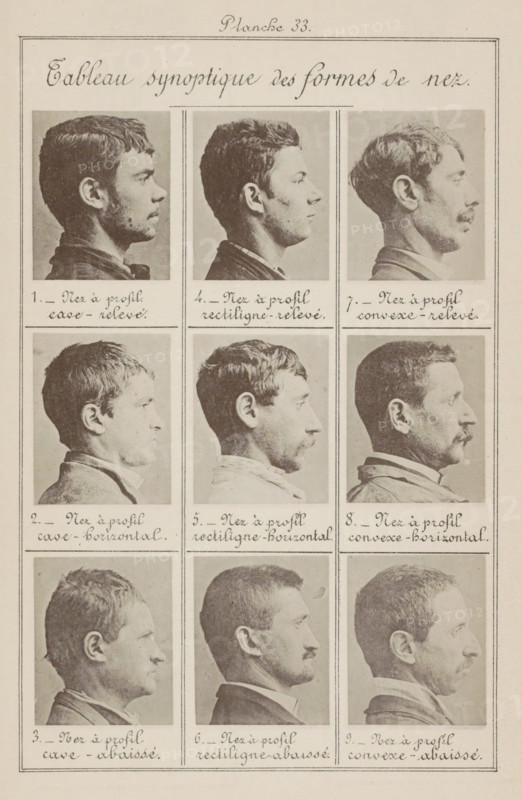 Nine male heads in side view, arranged according to the shape of their noses, Tableau synoptique des formes de nez, page, photomechanical print, Male heads en profil., number: '1., 9.', number: 'Planche 33.', inscription: 'Nez à profil cave-relevé., Nez à profil convexe-abaissé.', France, c. 1880 - in or before 1893, paper, collotype, photoprint, height 243 mm x width 157 mm, head (human) (sideview, profile), parts of the face: nose, A vertically oriented print showing a grid of portrait photographs arranged in three columns and multiple rows, each portrait a side profile of a different man against a plain background; the men display a range of hairstyles and facial hair including clean-shaven faces, mustaches, and short beards, and wear various collars and jackets; the images are framed by thin rectangular borders and separated by ruled lines, with handwritten script beneath each portrait that is visible but not described; a decorative handwritten title sits across the top within a la...