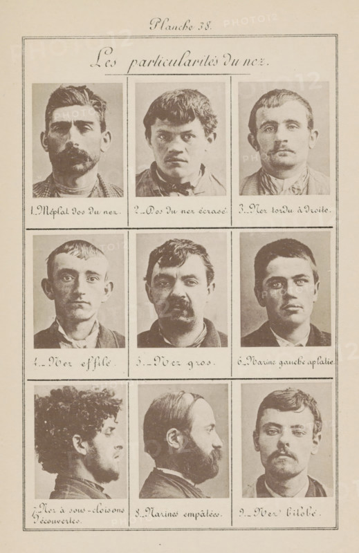 Les particularités du nez, Nine men's heads, page, photomechanical print, Seven in front view, numbers 7 and 8 in profile, number: 'Planche 38.', inscription: 'Méplat dos du nez., Nez bilobé.', number: '1., 9.', France, c. 1880 - in or before 1893, paper, collotype, photoprint, height 243 mm x width 157 mm, head (human) (side view, profile), head (human) (front view), A vertical page with a rectangular border divided into three horizontal sections each containing three rectangular photographic portraits framed by thin lines; the top section shows three front-facing male portraits with varied hair and mustache styles, the middle section shows three additional front-facing male portraits with different facial hair and expressions, and the bottom section shows three portraits including two profile views and one front-facing view, all in sepia tones on a light background.