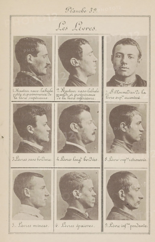 Nine men's heads, arranged according to the shape of their lips, Les Lèvres, page, photomechanical print, Eight in side view, number 7 taken in front view., number: 'Planche 39', number: '1., 9.', inscription: ', Lèvre infre. pendante.', France, c. 1880 - in or before 1893, paper, collotype, photoprint, height 243 mm x width 157 mm, head (human) (side view, profile), head (human) (front view), A vertical sheet divided into a grid of portrait photographs showing head-and-shoulder views of men, with three columns and multiple rows; the top row contains three images including two profile views and one frontal, the middle rows show side profiles primarily facing one direction, and the bottom row shows three more profile views; each photograph is framed by thin borders and separated by ruled lines; the men have varied hairstyles and facial hair including some with mustaches and some clean-shaven, and wear different collars and jackets; the paper has an aged, sepia tone and visible texture, ...