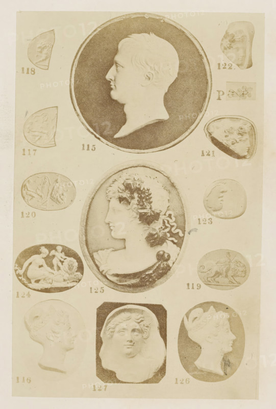 Fourteen reliefs with portraits and profiles, photograph, page, number: '115 - 127', photographer: F. Cole, c. 1857 - in or before 1867, paper, albumen print, height 163 mm x width 104 mm, historical persons (portraits and scenes from the life) (profile portrait), sculpture (relief, sculpture), carving, applied arts, A vertical sheet shows a series of cameo-style oval and circular relief portraits and small carved scenes arranged in rows, all rendered in a muted sepia tone. At the top is a large circular medallion with a left-facing male profile set against a dark background, bordered by a thin raised rim. Below and to the center is a large oval portrait of a left-facing female bust adorned with wreath-like foliage in her hair and draped clothing, also within a framed oval. Smaller ovals and circular pieces flank these main images, depicting various left-facing profiles, partial heads, and miniature scenes including figures and a reclining animal, each shown as low-relief images on pla...
