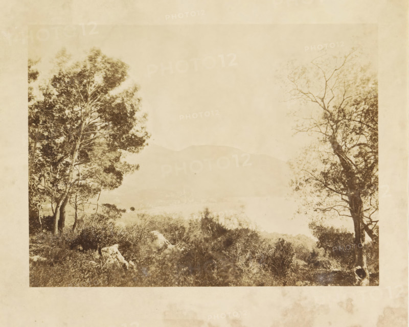View of Menton, Menton vie prize du Cap Martin, photograph, page, photographer: Louis-Alphonse Davanne, France, c. 1852 - in or before 1862, paper, albumen print, height 135 mm x width 180 mm, Photo after page 58., rocky coast, Provence-Alpes-Côte d'Azur, Menton, A faded sepia-toned photograph showing a natural landscape framed by tall trees on either side, with denser foliage and branches visible on the left and more open, sparse branches on the right, a grassy and rocky foreground with low shrubs and scattered rocks, and a distant, hazy ridge or mountain line visible through a light, washed sky.