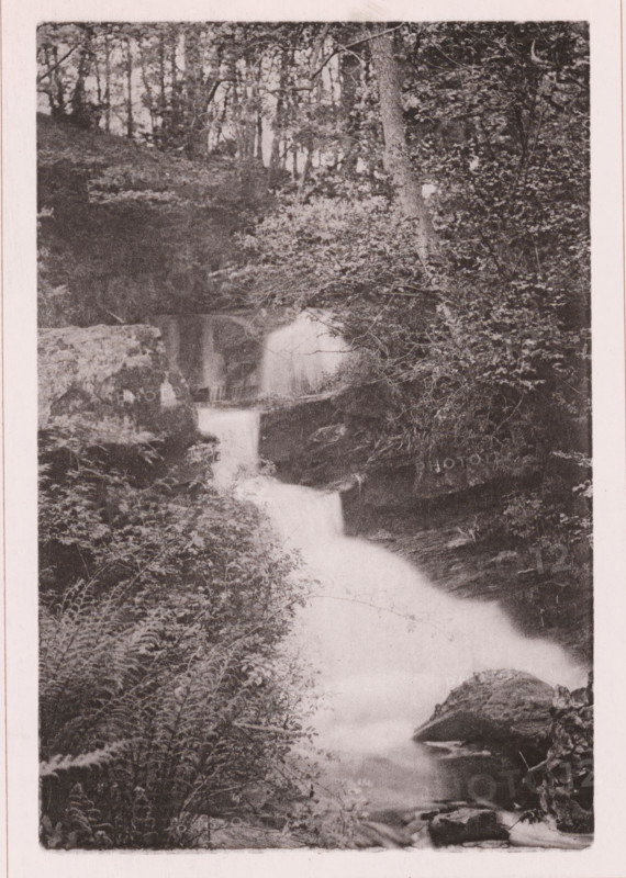 Waterfall in Fairy Dell, page, photomechanical print, c. 1890 - c. 1900, paper, collotype, photoprint, height 153 mm x width 101 mm, waterfall, A vertical grayscale photograph showing a woodland scene with a narrow waterfall and stream flowing toward the foreground, surrounded by dense foliage and trees; the water cascades down rocky ledges and appears smooth and misty, with leafy undergrowth and ferns along the banks, tree trunks and branches framing the sides, and rocks visible near the water's edge.