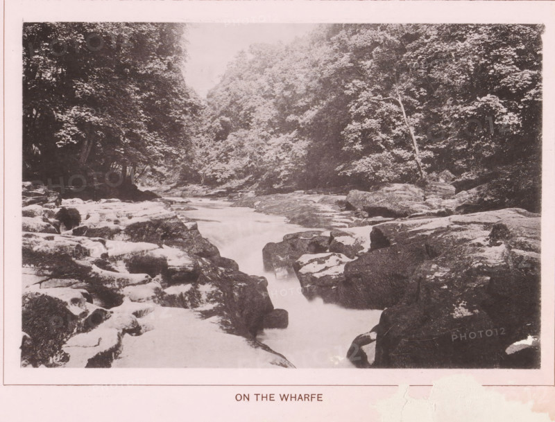On the Wharfe, page, photomechanical print, c. 1890 - c. 1900, textile materials, linen (material), collotype, photoprint, height 102 mm x width 152 mm, river, A monochrome photograph of a rocky river scene framed by dense trees on both sides, with water flowing through a narrow channel between large boulders and rocks; the riverbed and stones in the foreground show smooth, worn surfaces and some lighter patches, while the background features a canopy of foliage with varied leaf textures and a tall slender tree trunk visible on one side.