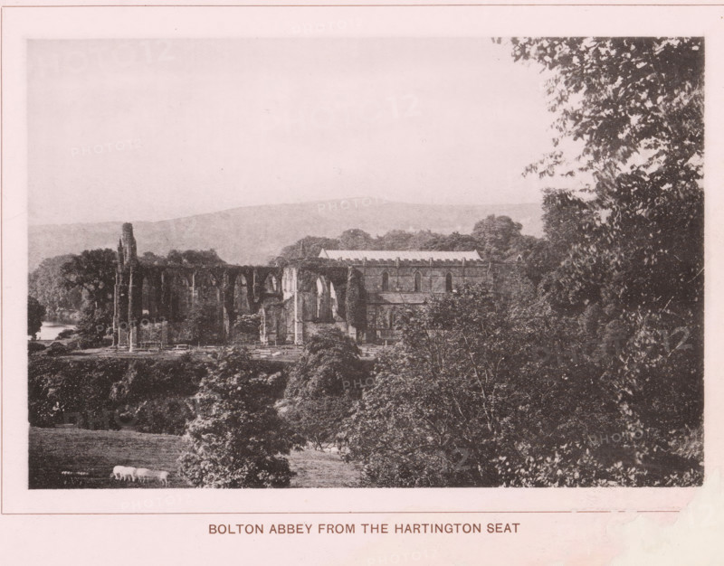 Bolton Abbey from the Hartington Seat, page, photomechanical print, c. 1890 - c. 1900, textile materials, linen (material), collotype, photoprint, height 102 mm x width 152 mm, ruin of church, monastery, Yorkshire, Wharfedale, Bolton Abbey, A sepia-toned landscape photograph showing ruins of a large stone abbey set among dense trees and rolling hills, with tall arched window openings and partial walls covered in vegetation, a cluster of trees filling the foreground and right side of the image, open fields and grazing sheep visible near the bottom left, distant hills forming the background, and a wide pale sky above.