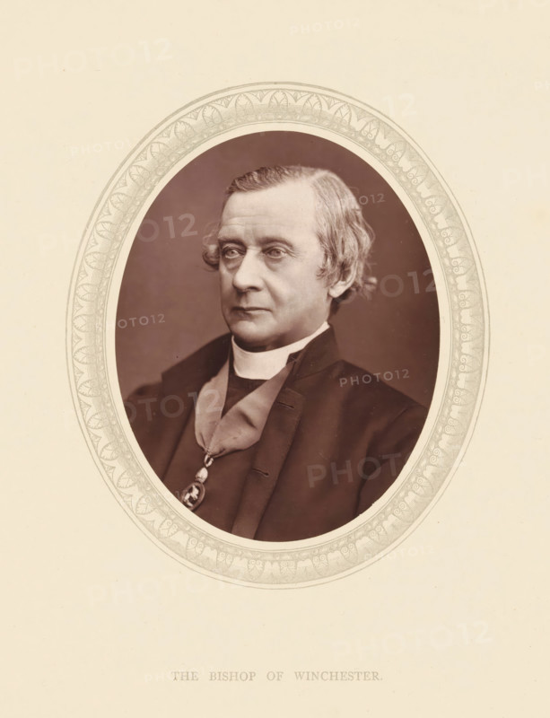 The bishop of Winchester, page, photomechanical print, photographer: Lock & Whitfield, cliché maker: anonymous, c. 1871 - in or before 1876, paper, Woodburytype, Woodbury Process, height 115 mm x width 89 mm, Person, Harold Browne, functions and dignitaries, episcopal Protestant churches, historical persons (portraits and scenes from the life) ((full) bust portrait), A sepia portrait of a middle-aged man shown from the chest up inside an oval frame with an ornate patterned border, the man wearing clerical clothing including a dark jacket, a light-colored clerical collar, and a decorative pendant on a ribbon, his hair is light and styled with waves at the sides, his expression is neutral and he is looking slightly to his right, the background within the oval is plain and darker than the surrounding pale paper.