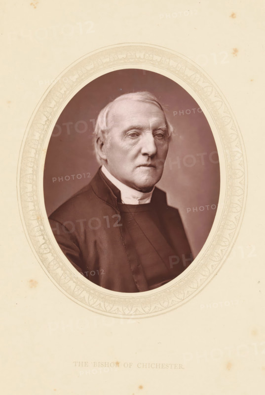 The bishop of Chichester, page, photomechanical print, photographer: Lock & Whitfield, cliché maker: anonymous, c. 1871 - in or before 1876, paper, Woodburytype, Woodbury Process, height 115 mm x width 89 mm, Person, Richard Durnford, archbishop, bishop, etc. (Roman Catholic), historical persons (portraits and scenes from the life) ((full) bust portrait), An oval sepia portrait of an older man shown from the chest up, framed by a decorative printed border and mounted on a cream background; he has light hair, a high forehead, visible facial lines, and a composed expression, wearing dark clerical clothing with a high white collar and a dark outer garment, with soft lighting and a plain darker backdrop inside the oval.