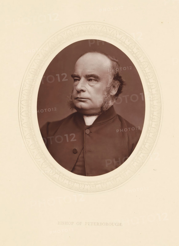 Bishop of Peterborough, page, photomechanical print, photographer: Lock & Whitfield, cliché maker: anonymous, c. 1871 - in or before 1876, paper, Woodburytype, Woodbury Process, height 115 mm x width 89 mm, Person, William Magee, officer, historical persons (portraits and scenes from the life) ((full) bust portrait), An oval portrait of an older man with a high forehead and receding hairline, sideburns extending down his cheeks, and a solemn expression, shown from the chest up wearing a dark buttoned clerical garment with a white collar, set against a plain dark background and framed by an ornate light-colored oval mat on a light paper.