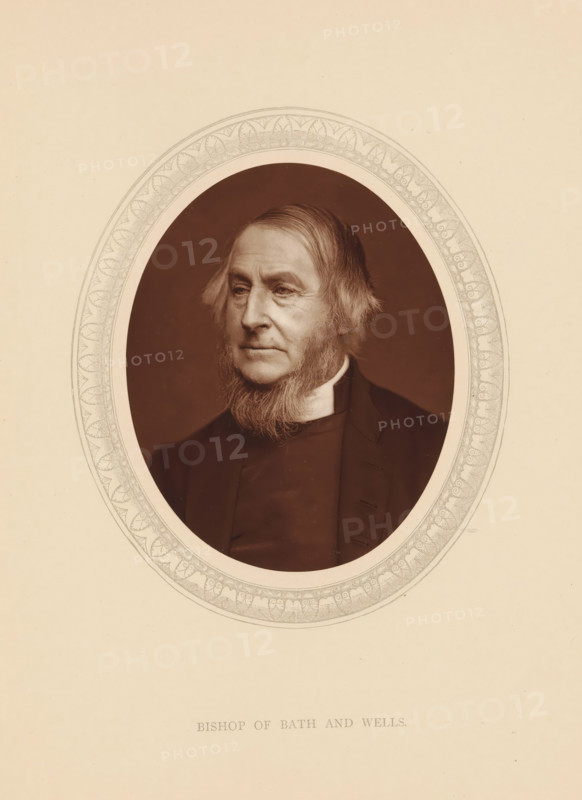 Bishop of Bath and Wells, page, photomechanical print, photographer: Lock & Whitfield, cliché maker: anonymous, c. 1875 - in or before 1880, paper, Woodburytype, Woodbury Process, height 115 mm x width 89 mm, Person, Arthur Hervey, archbishop, bishop, etc. (Roman Catholic), historical persons (portraits and scenes from the life) ((full) bust portrait), An oval sepia photograph of an older man with a beard framed by an ornate oval border set on a plain light background, the man shown from the chest up wearing a dark robe and a white clerical collar, his hair combed back with sideburns and a full beard, his expression neutral and gaze directed slightly to the side.
