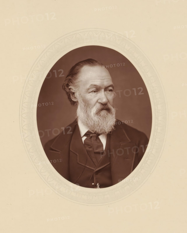 Alfred Elmore, page, photomechanical print, photographer: Lock & Whitfield, cliché maker: anonymous, c. 1876 - in or before 1881, paper, Woodburytype, Woodbury Process, height 115 mm x width 89 mm, Person, portrait, self-portrait of painter, historical persons (portraits and scenes from the life) ((full) bust portrait), An oval sepia portrait of an older man with a full white beard and mustache, his hair combed back from his forehead and slightly wavy at the sides, wearing a dark suit jacket with wide lapels, a vest, and a dark cravat, set against a plain darker background and surrounded by a decorative oval mat with a pale patterned border on a light beige mount.