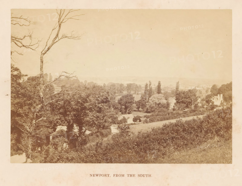 Newport, from the South, photograph, page, photographer: William Russell Sedgfield, Isle of Wight, c. 1859 - in or before 1869, paper, albumen print, height 100 mm x width 143 mm, city-view in general, 'veduta', A sepia-toned landscape photograph showing a wide view over rolling fields and clusters of trees with a tall bare-branched tree in the left foreground and denser leafy trees spreading across the middle ground, scattered small buildings and cottages partially visible among the trees, a winding path or road leading through the lower area, distant low hills on the horizon, and a pale sky above.
