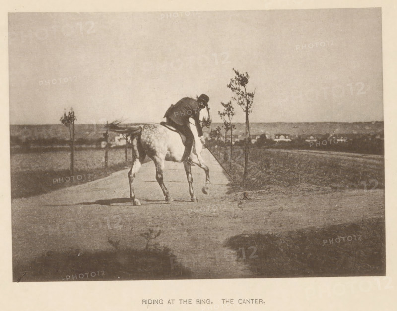 Man riding a horse at a gallop, Riding at the ring. The canter, page, photomechanical print, cliché maker: Römmler & Jonas, Dresden, c. 1879 - in or before 1889, photographer, paper, collotype, photoprint, height 98 mm x width 136 mm, riding a horse, ass, or mule, rider, horseman, galloping horse, head-gear: bowler hat, A grainy sepia photograph shows a person wearing a hat and dark clothing riding a light-colored horse along a straight path, the rider leaning forward and holding the reins while the horse lifts a front leg; young slender trees line the path and a low horizon with small buildings is visible in the distance, with an open sky above and a darker foreground at the bottom of the image.