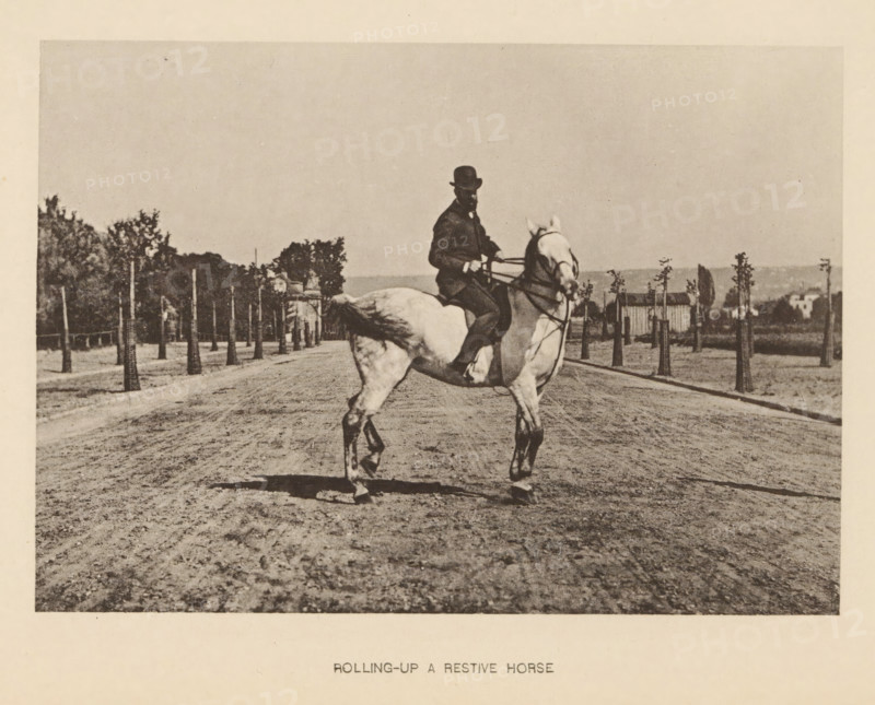 Rolling-up a restive horse, Man on a horse, page, photomechanical print, cliché maker: Römmler & Jonas, Dresden, c. 1879 - in or before 1889, photographer, paper, collotype, photoprint, height 97 mm x width 137 mm, horse, riding a horse, ass, or mule, rider, horseman, head-gear: bowler hat, A black-and-white photograph of a person wearing a dark suit and bowler hat riding a light-colored horse on a dirt road, the rider holding the reins while the horse lifts its front legs and turns its head slightly, with rows of young trees along both sides of the road, a line of taller trees and a small building visible in the background, and an expanse of sky above.