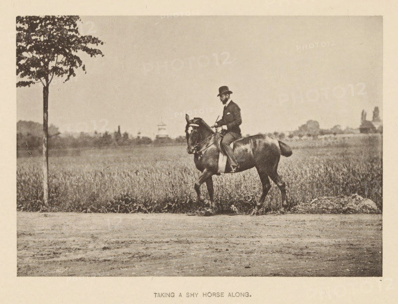 Man riding a shy horse, Taking a shy horse along, page, photomechanical print, cliché maker: Römmler & Jonas, Dresden, c. 1879 - in or before 1889, photographer, paper, collotype, photoprint, height 97 mm x width 137 mm, horse, riding a horse, ass, or mule, rider, horseman, head-gear: bowler hat, A sepia-toned photograph shows a man wearing a dark suit and bowler hat riding a dark horse along a dirt path beside a field of tall grass, with a single tree at the left edge of the frame and a distant low horizon with scattered trees and structures in the background.