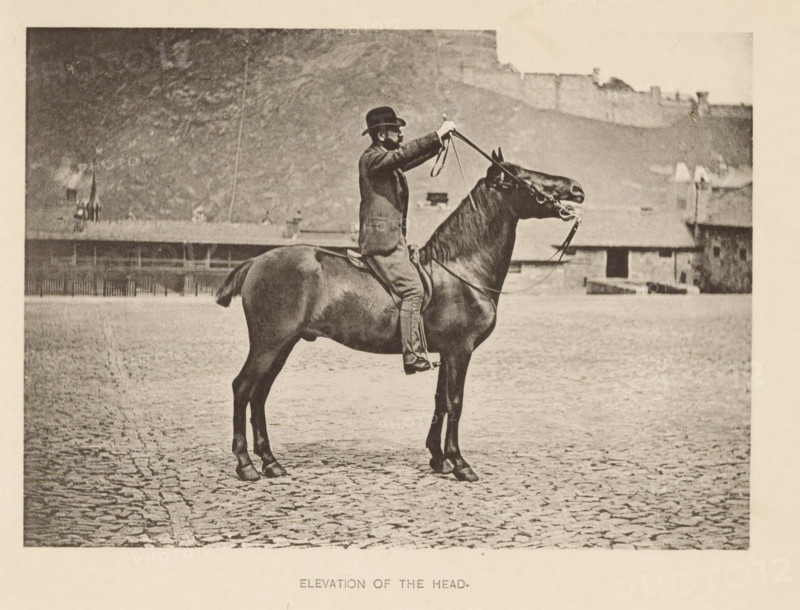 Elevation of the head, Man on a horse lifting the horse's head with the reins, page, photomechanical print, photographer: Alexander Nicol (possibly), Edinburgh (possibly), cliché maker: Römmler & Jonas, Dresden, printer (person): Römmler & Jonas, c. 1879 - in or before 1889, Alexander Nicol, Römmler & Jonas, photographer, Edinburgh, paper, collotype, photogravure, height 98 mm x width 137 mm, horse, riding a horse, ass, or mule, rider, horseman, head-gear: bowler hat, A man wearing a dark suit jacket and a bowler hat sits upright on a dark horse on a cobblestone surface, holding raised reins with both hands; the horse stands with its head elevated and mouth open, showing a bit and bridle straps; behind them there is a low building with a row of windows and a fence along its base, and beyond that a hillside topped by a stone wall and additional roofed structures; the image is monochrome with a wide light border.